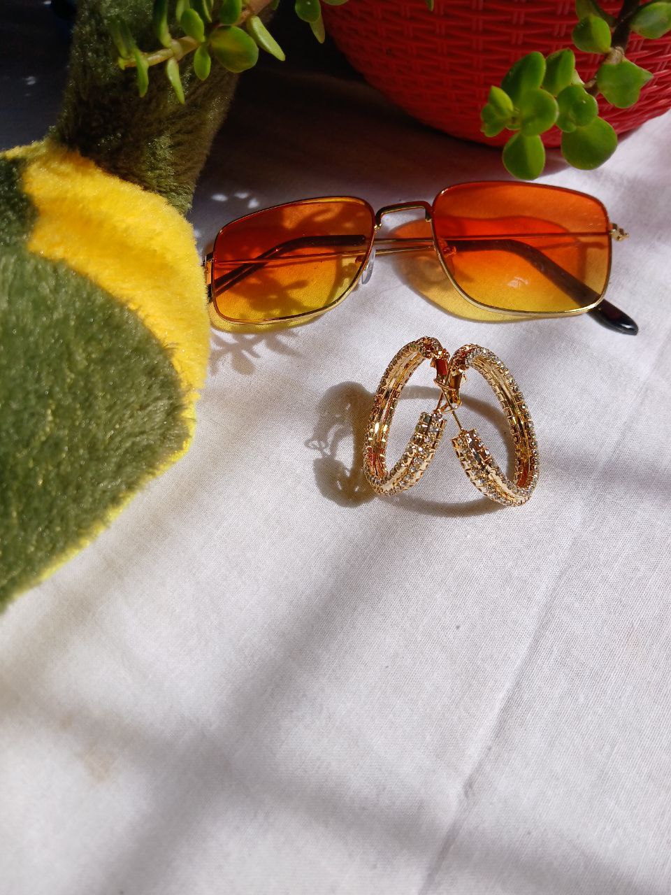 Golden Hoop Earrings